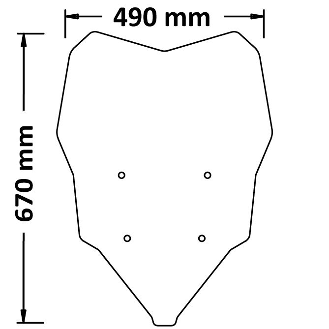 High windshield for BMW F 900 XR (21-22), light smoke