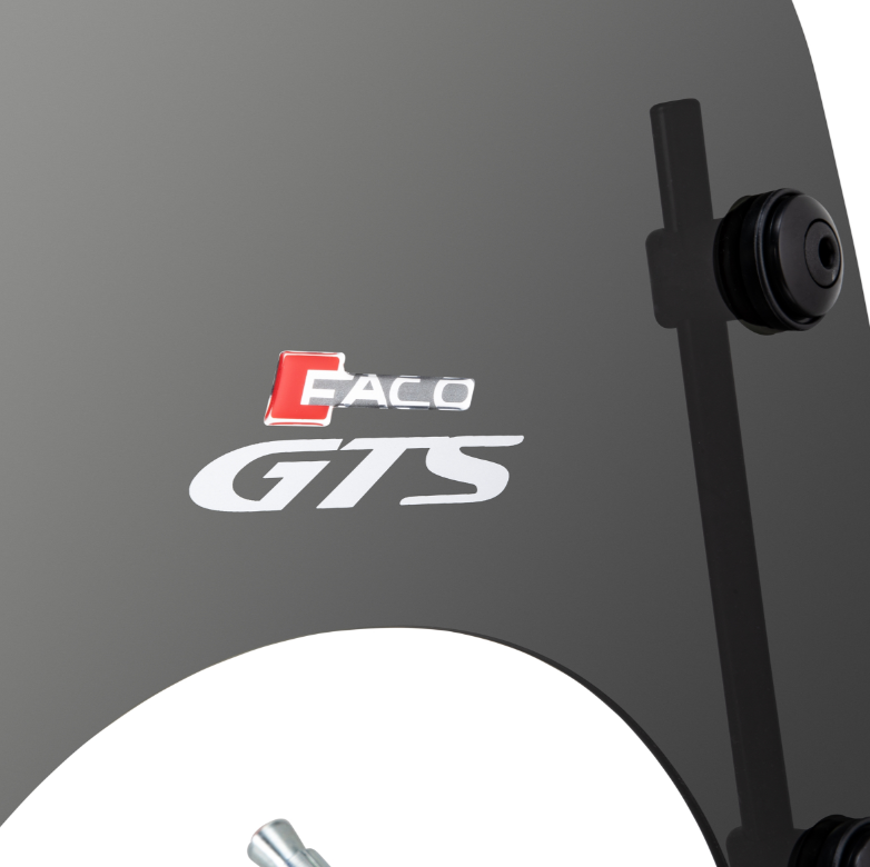 Windshield FACO for Vespa GTS /GTS Super 125/300cc (`23-), tinted