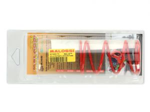 Malossi converter spring, 65x108mm, red