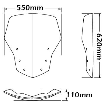 Windshield original type for BMW K 1200 GT /K 1300 GT, light smoke