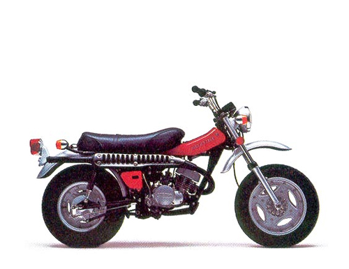 RV 125 2-stroke 1973-1981 (RV125)
