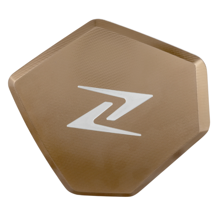 Cover for vario lid ZELIONI for Vespa GTS/GTS Super/GTV HPE 300cc, titanium